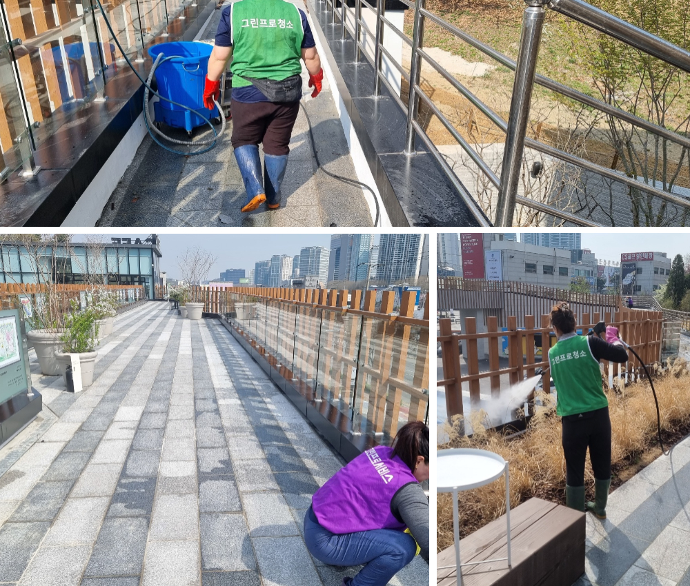 의정부시 야외 공원 백화제거 - 시각적 즐거움과 깨끗한 환경을 선사합니다 관한 작업사진입니다.